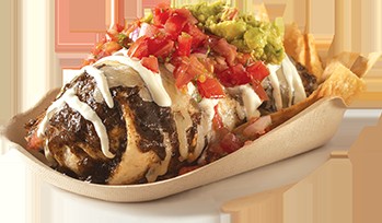 ENCHILADA BURRITOS