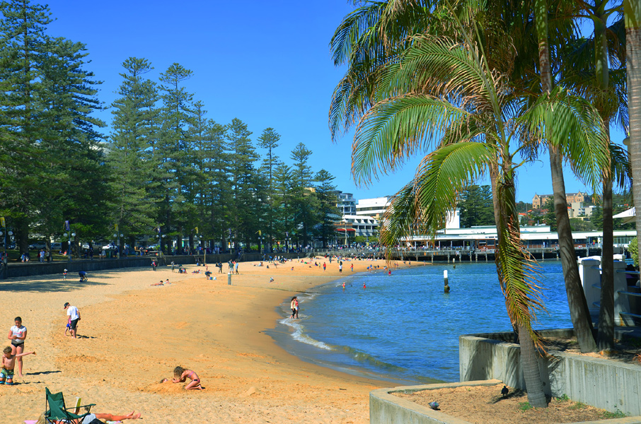 Image result for manly beach